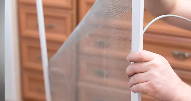 Privacy Mesh Screen Door Installation in Delray Beach, FL